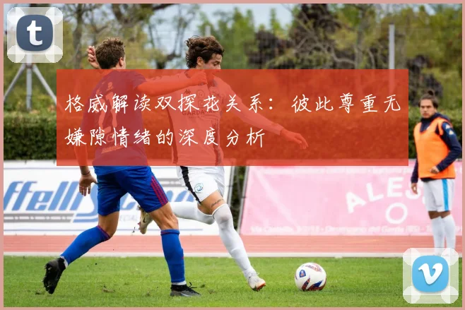 格威解读双探花关系:彼此尊重无嫌隙情绪的深度分析
